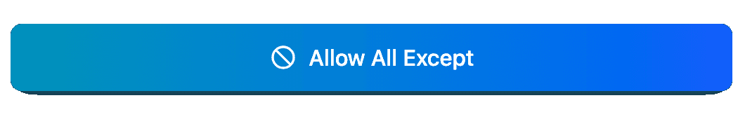 Allow All Websites screenshot